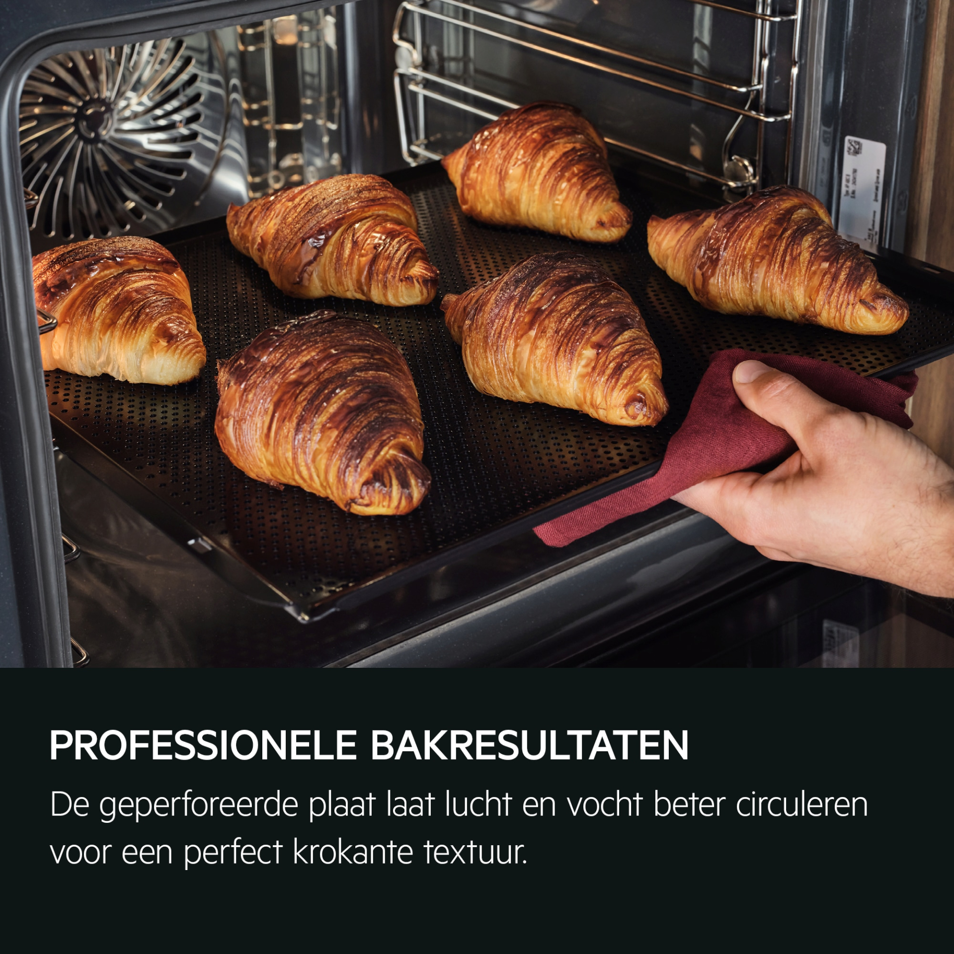 AEG 9000 multifunctionele oven met stoom - 45cm - CS9900B