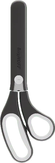 BERGHOFF 3950667