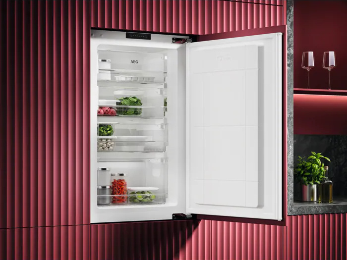 AEG 6000 Inbouw vriezer 100 l - TB6LA881ES