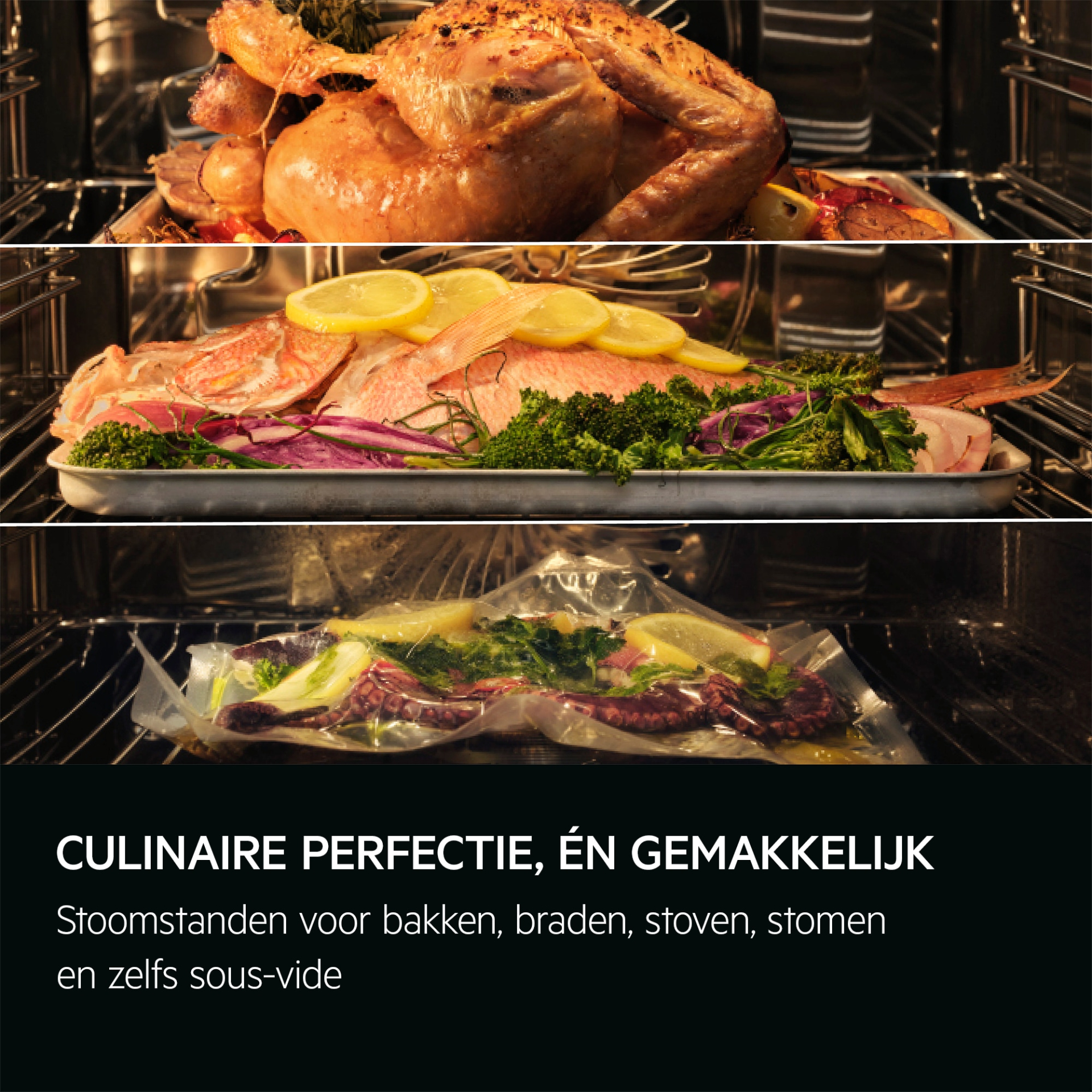 AEG 9000 multifunctionele oven met stoom - 45cm - CS9900B